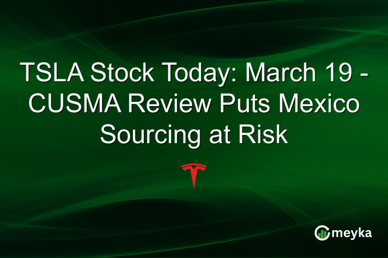 TSLA Stock Today: March 19 - CUSMA Review Puts Mexico Sourcing at Risk