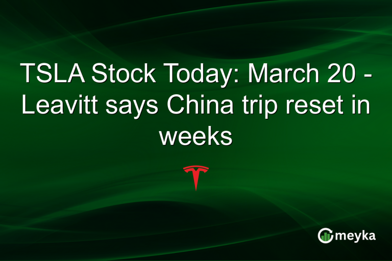 TSLA Stock Today: March 20 - Leavitt says China trip reset in weeks