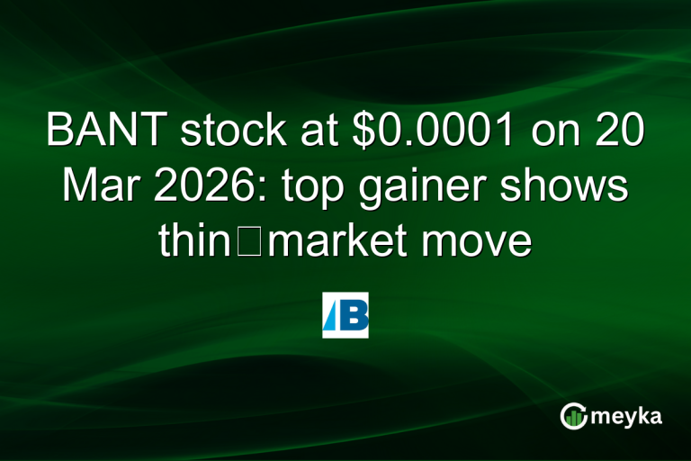 BANT stock at $0.0001 on 20 Mar 2026: top gainer shows thin‑market move