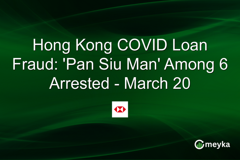 Hong Kong COVID Loan Fraud: 'Pan Siu Man' Among 6 Arrested - March 20