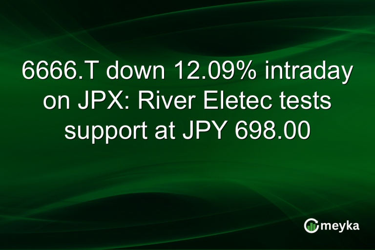 6666.T down 12.09% intraday on JPX: River Eletec tests support at JPY 698.00