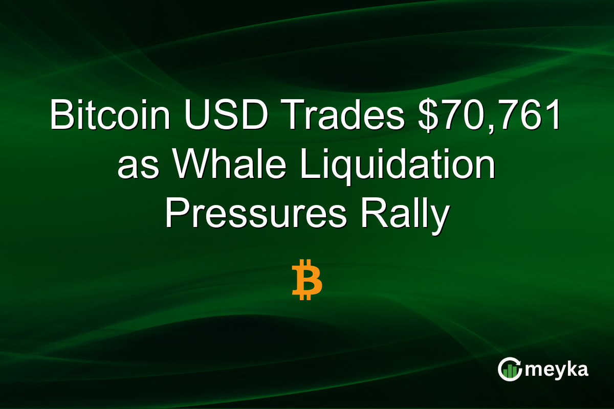 Bitcoin USD Trades $70,761 as Whale Liquidation Pressures Rally