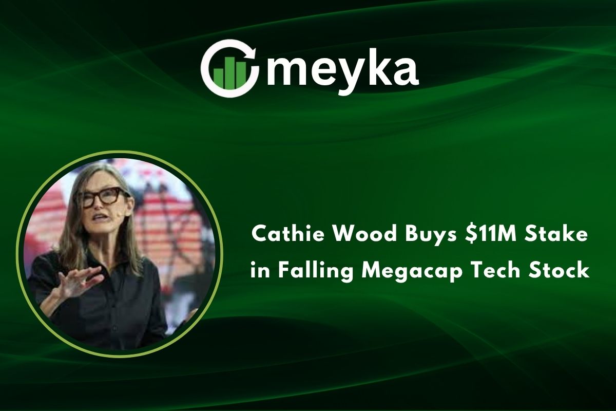 Cathie Wood Buys $11M Stake in Falling Megacap Tech Stock