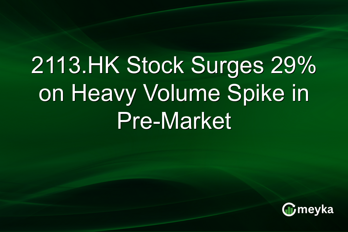2113.HK Stock Surges 29% on Heavy Volume Spike in Pre-Market