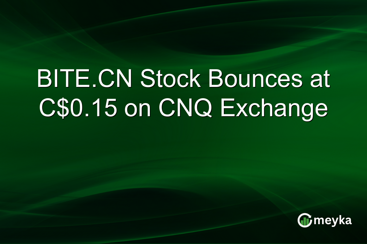BITE.CN Stock Bounces at C$0.15 on CNQ Exchange