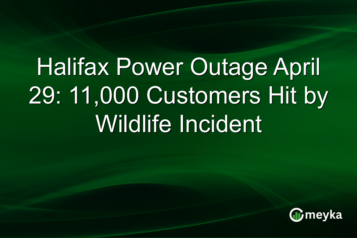 Halifax Power Outage April 29: 11,000 Customers Hit by Wildlife Incident