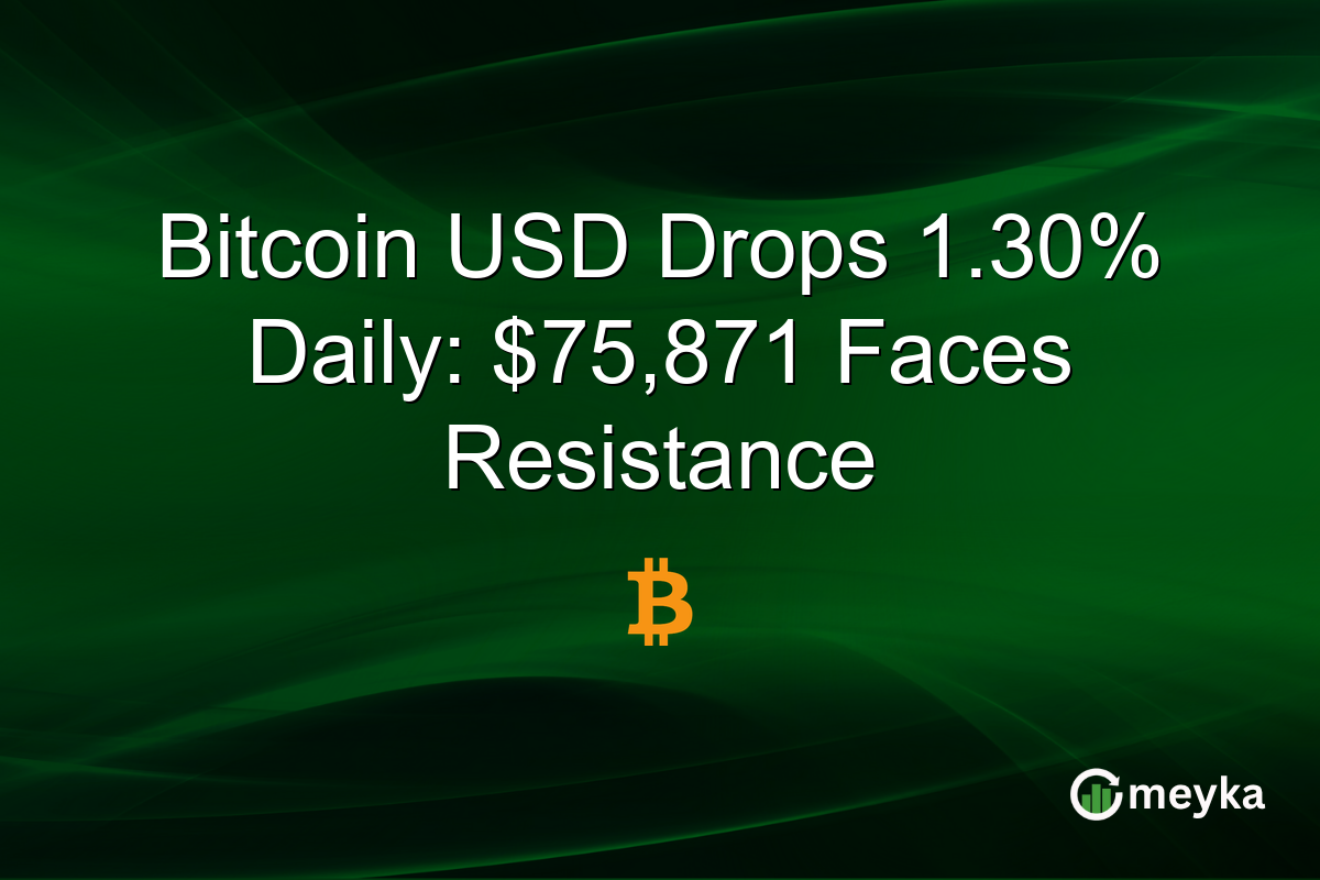 Bitcoin USD Drops 1.30% Daily: $75,871 Faces Resistance