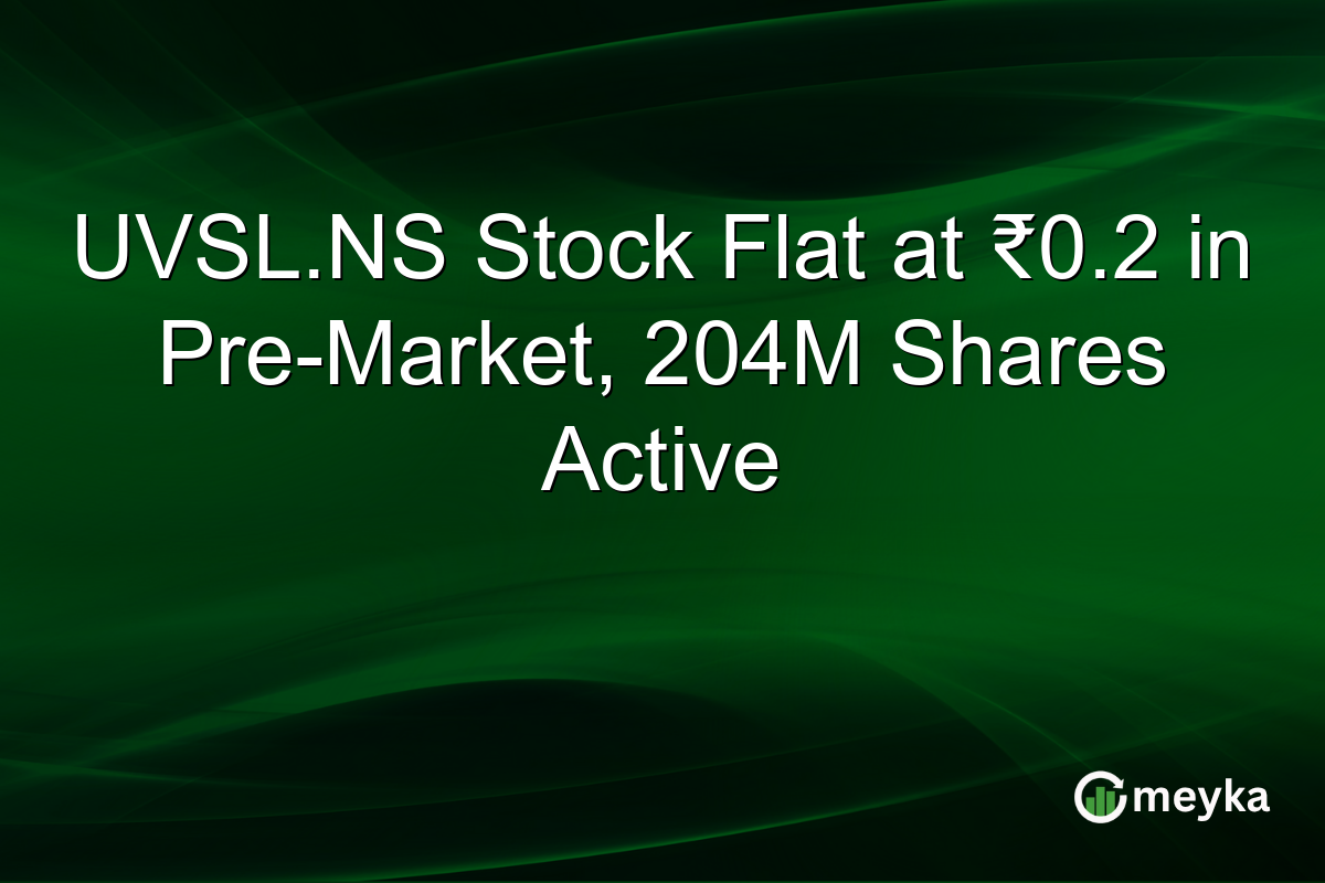 UVSL.NS Stock Flat at ₹0.2 in Pre-Market, 204M Shares Active