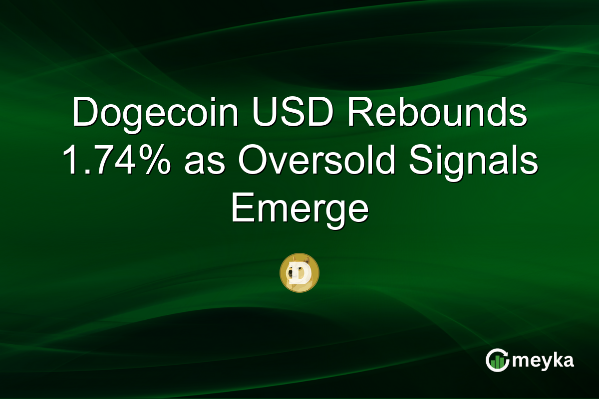 Dogecoin USD Rebounds 1.74% as Oversold Signals Emerge