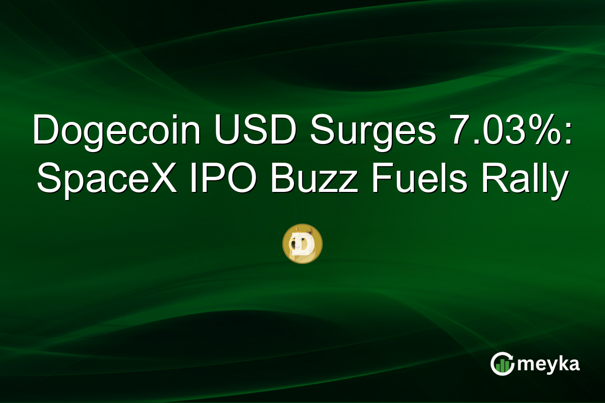 Dogecoin USD Surges 7.03%: SpaceX IPO Buzz Fuels Rally