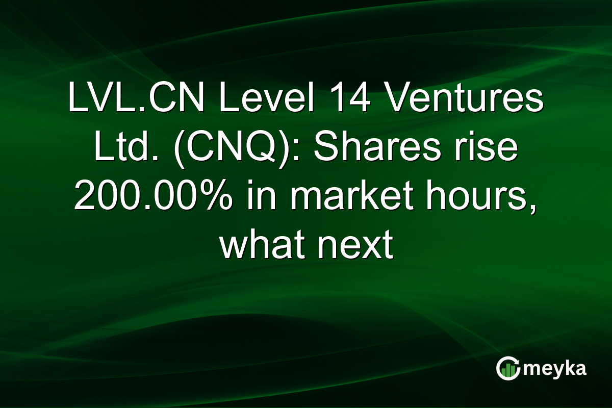 LVL.CN Level 14 Ventures Ltd. (CNQ): Shares rise 200.00% in market hours, what next