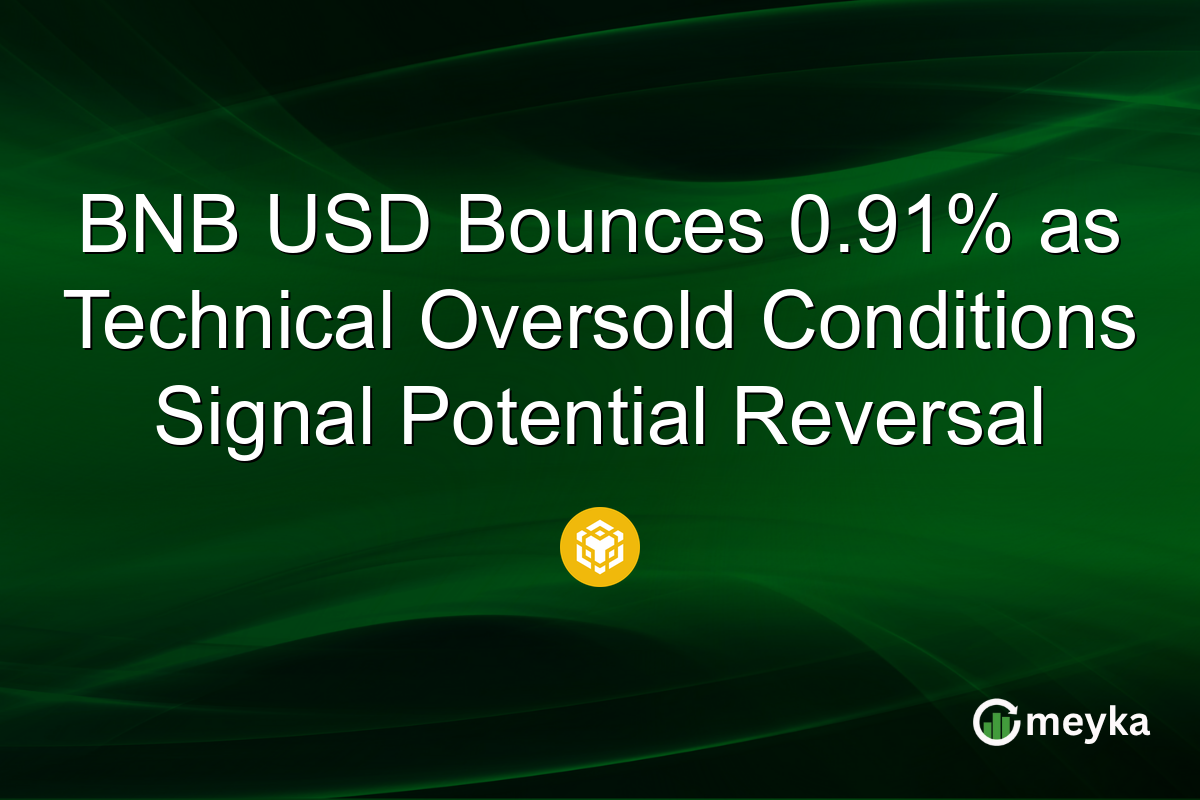 BNB USD Bounces 0.91% as Technical Oversold Conditions Signal Potential Reversal