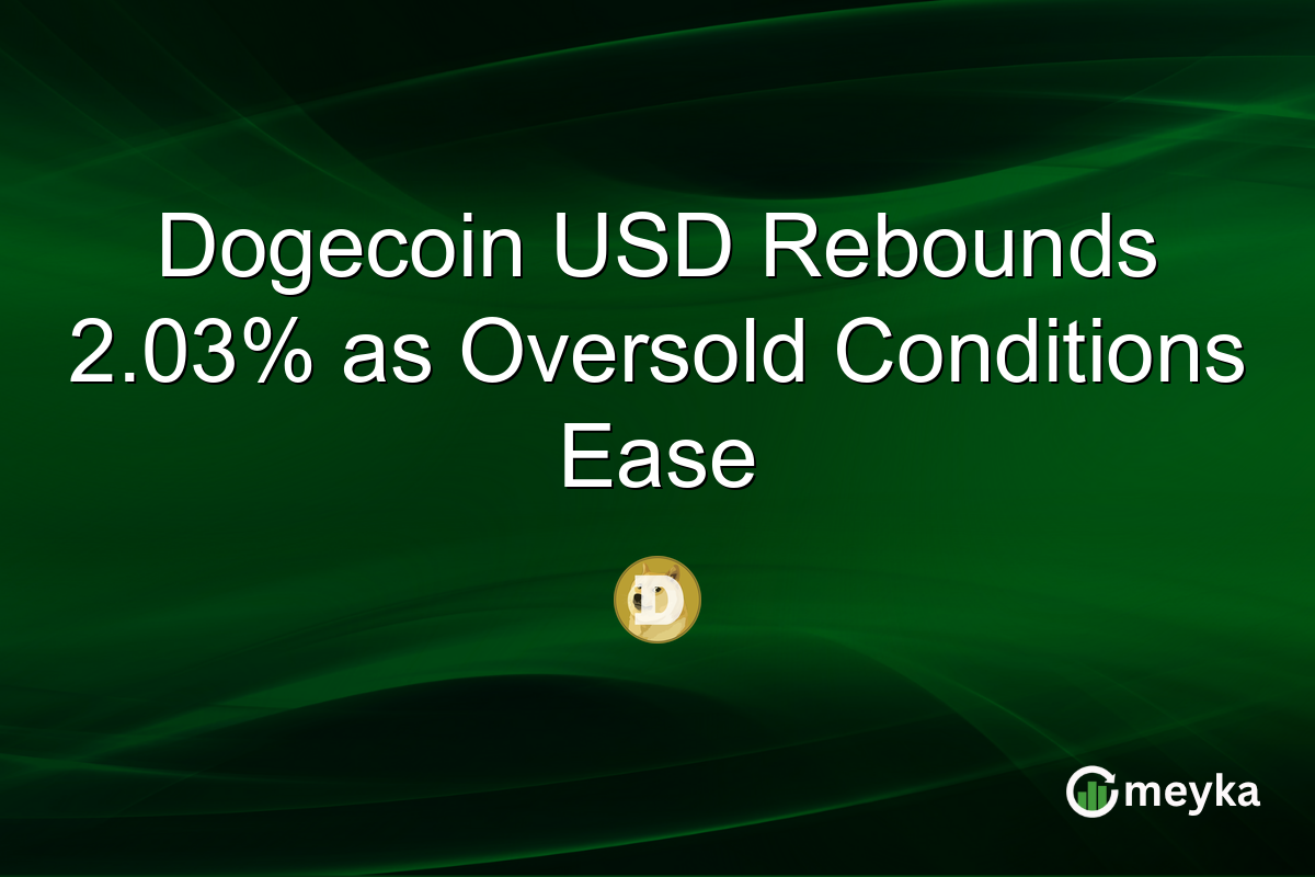Dogecoin USD Rebounds 2.03% as Oversold Conditions Ease