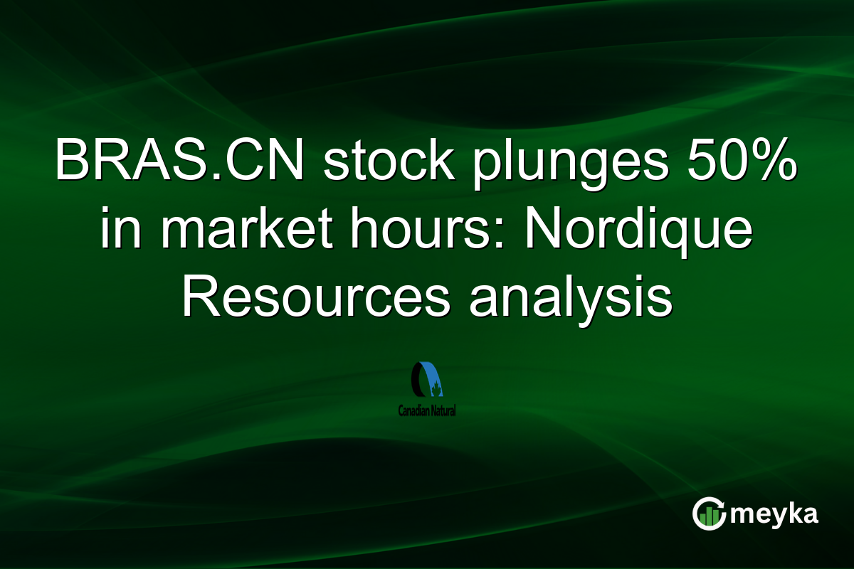BRAS.CN stock plunges 50% in market hours: Nordique Resources analysis
