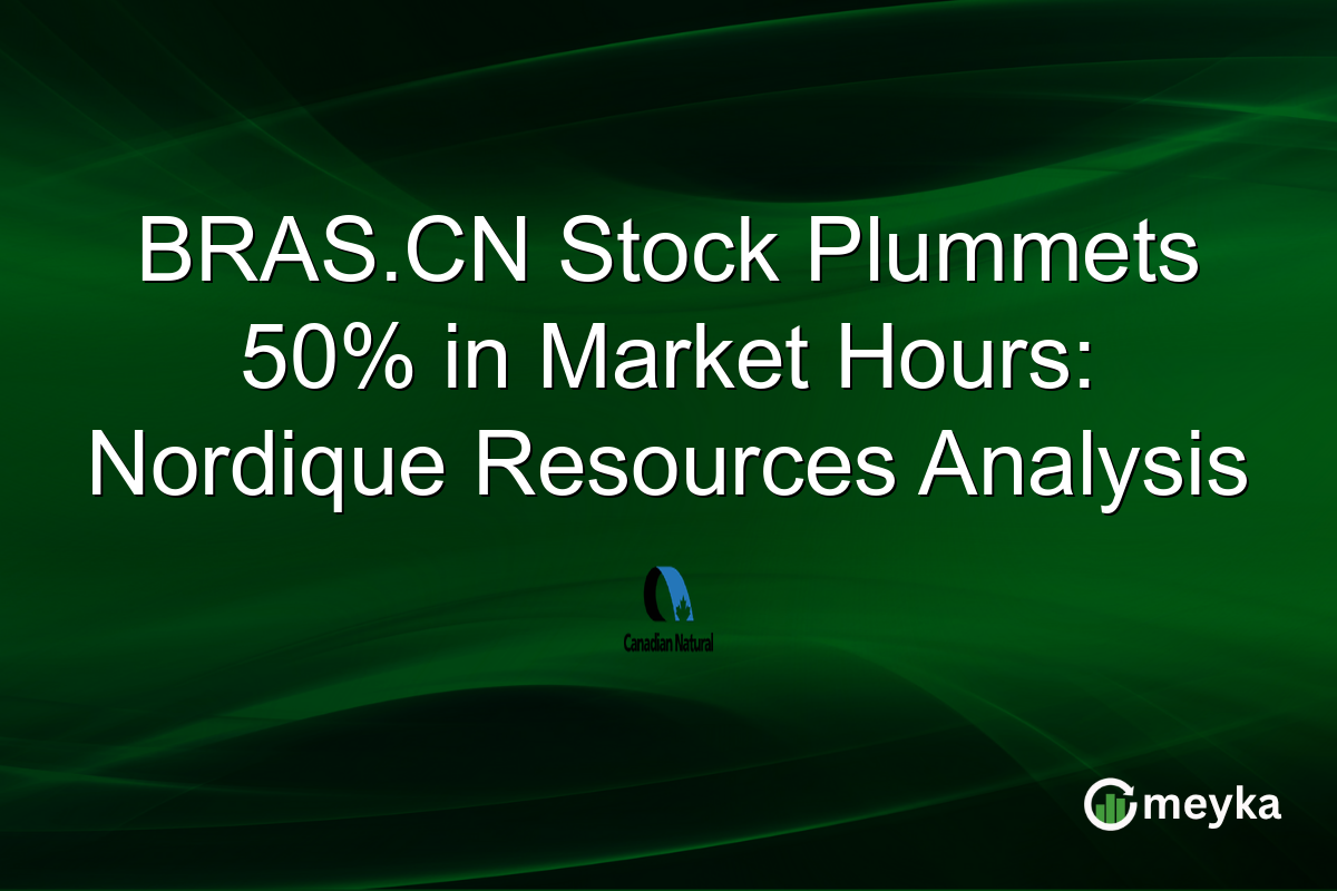 BRAS.CN Stock Plummets 50% in Market Hours: Nordique Resources Analysis