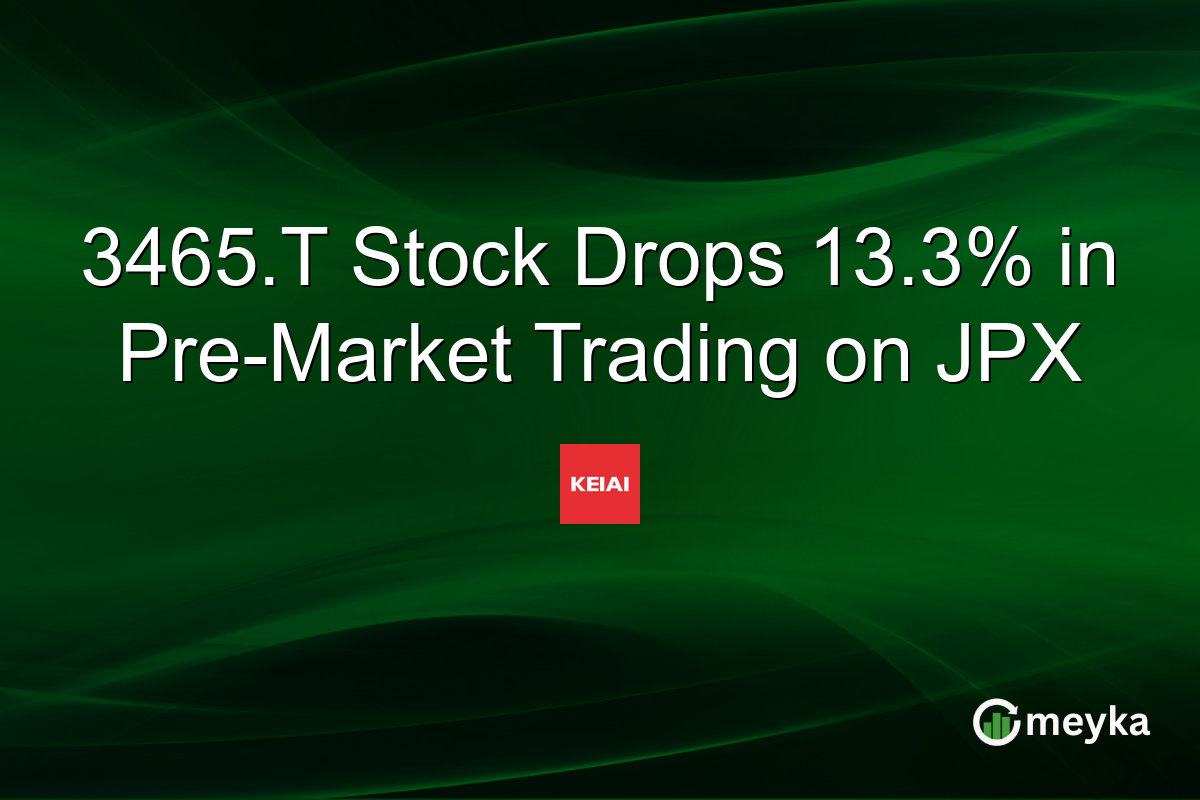 3465.T Stock Drops 13.3% in Pre-Market Trading on JPX
