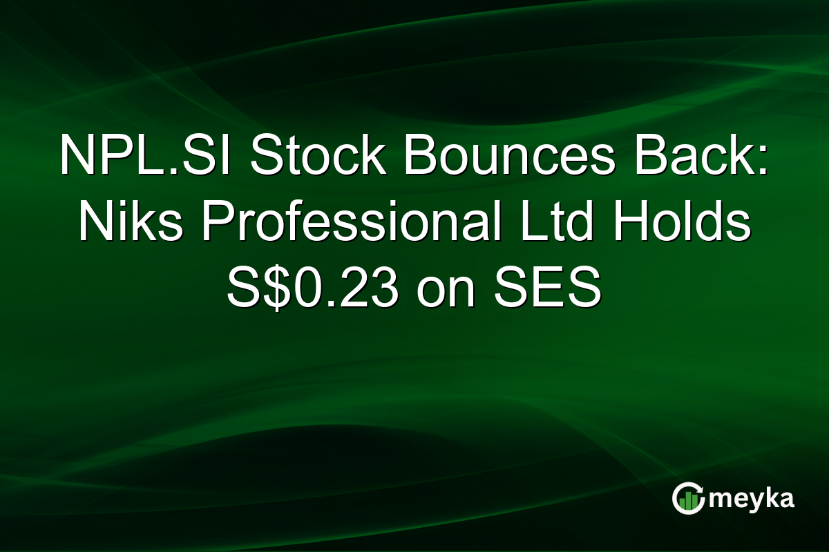 NPL.SI Stock Bounces Back: Niks Professional Ltd Holds S$0.23 on SES