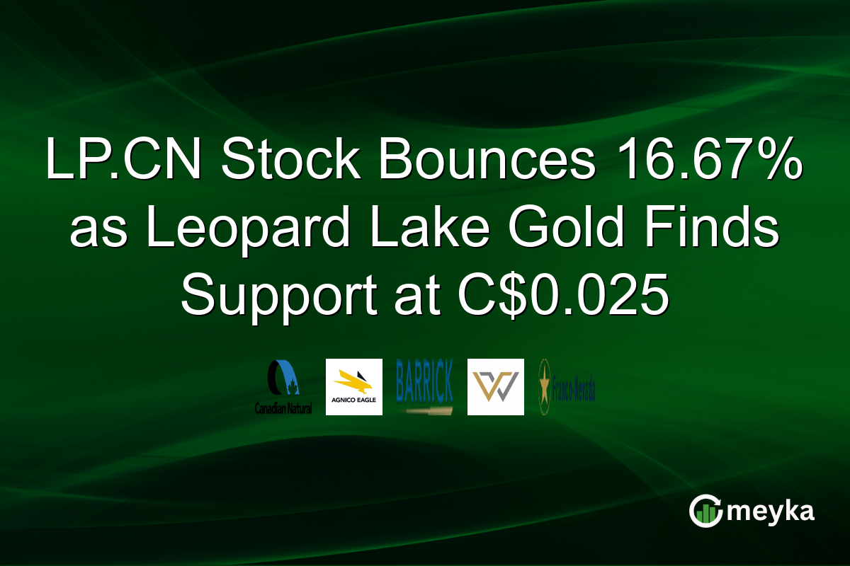 LP.CN Stock Bounces 16.67% as Leopard Lake Gold Finds Support at C$0.025