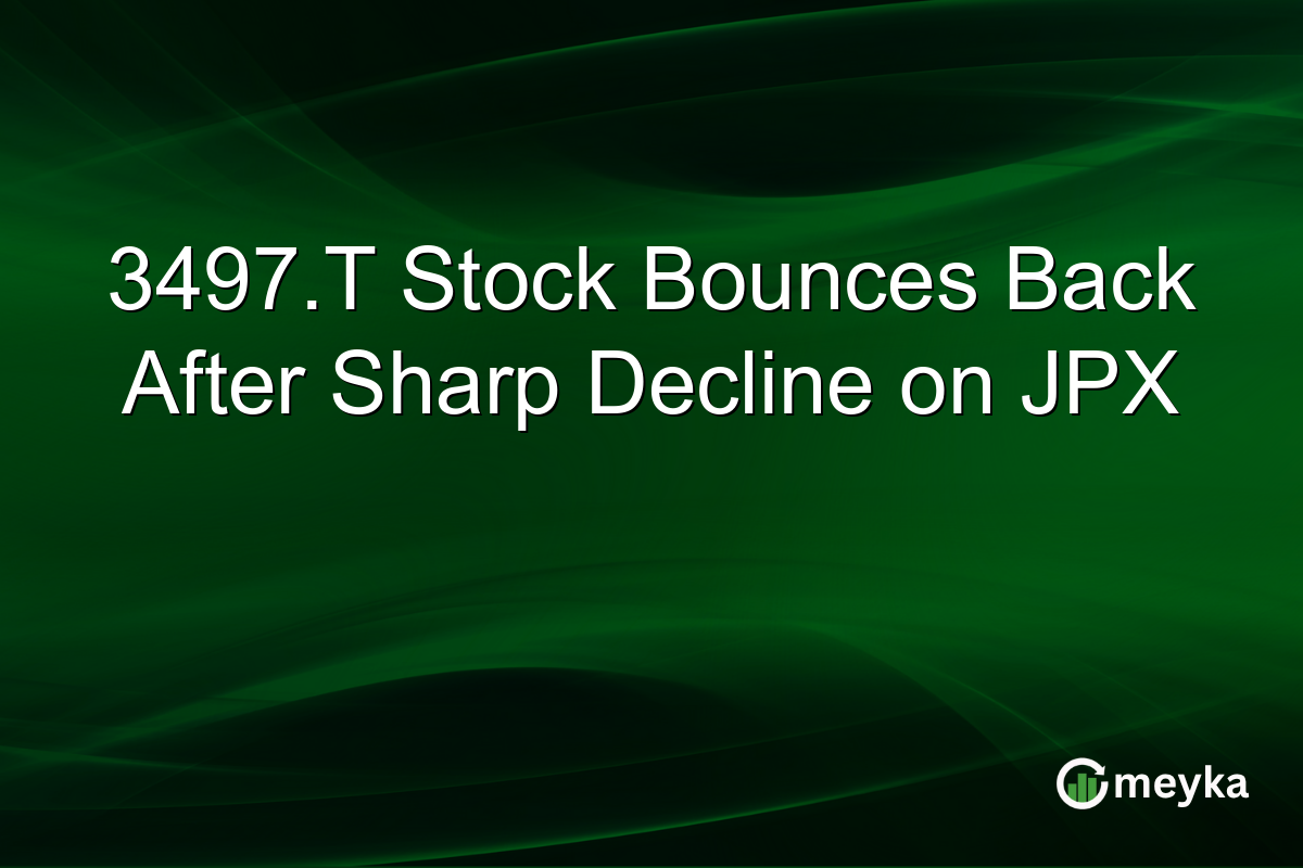 3497.T Stock Bounces Back After Sharp Decline on JPX