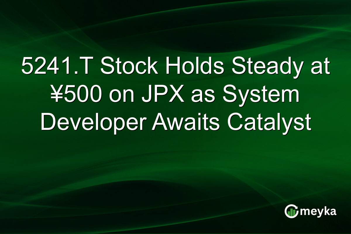 5241.T Stock Holds Steady at ¥500 on JPX as System Developer Awaits Catalyst