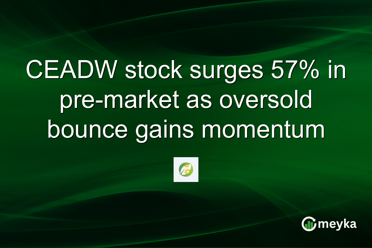 CEADW stock surges 57% in pre-market as oversold bounce gains momentum