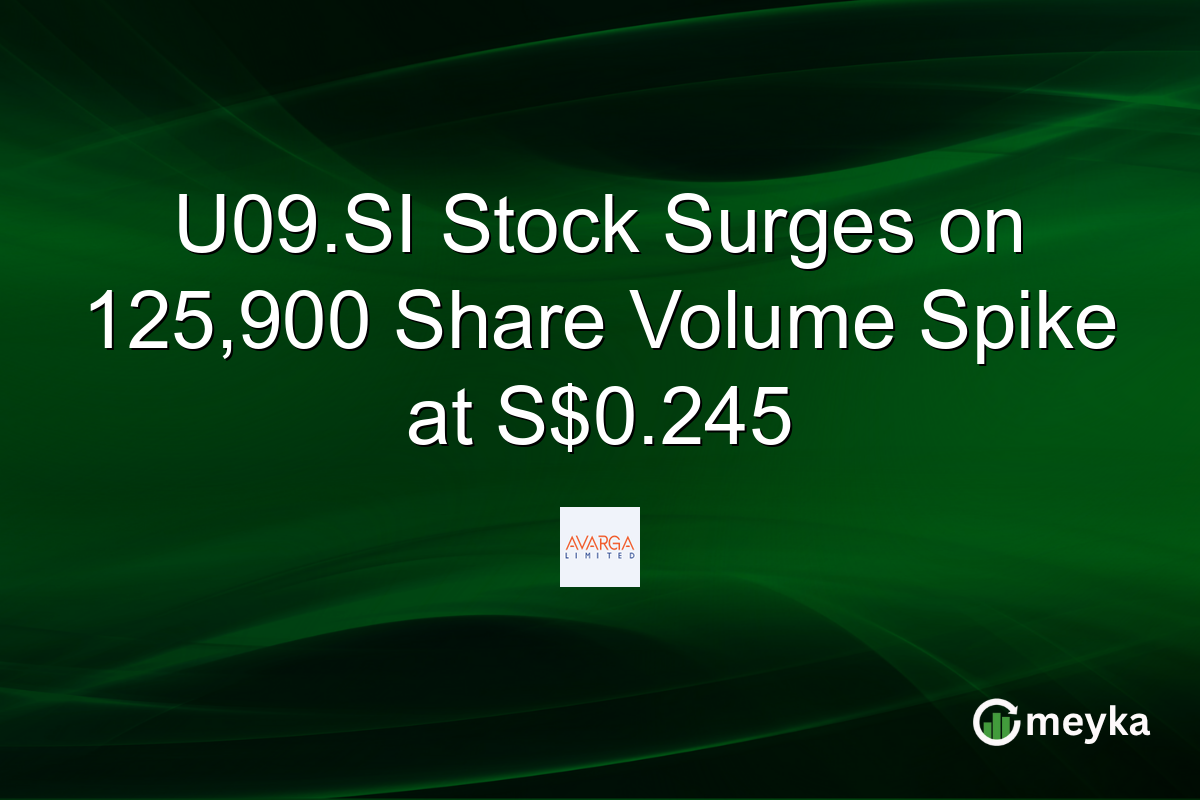 U09.SI Stock Surges on 125,900 Share Volume Spike at S$0.245