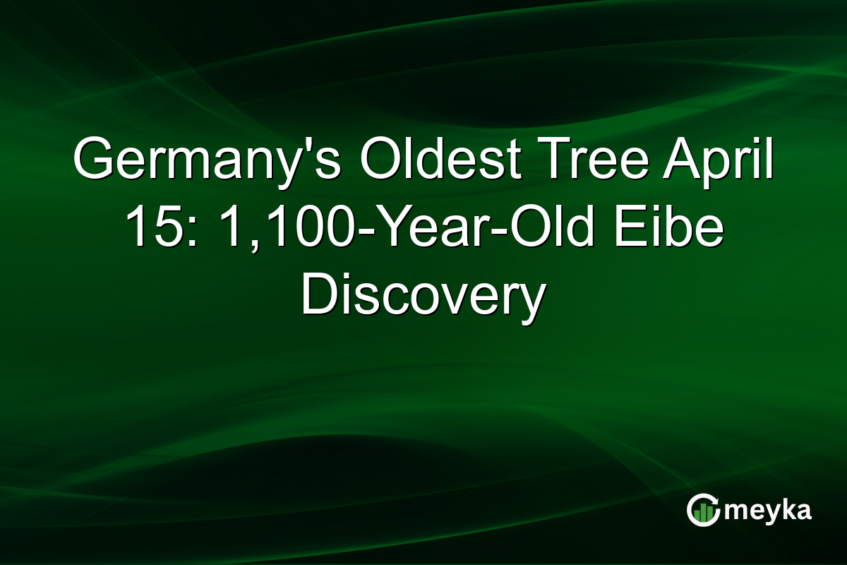 Germany’s Oldest Tree April 15: 1,100-Year-Old Eibe Discovery