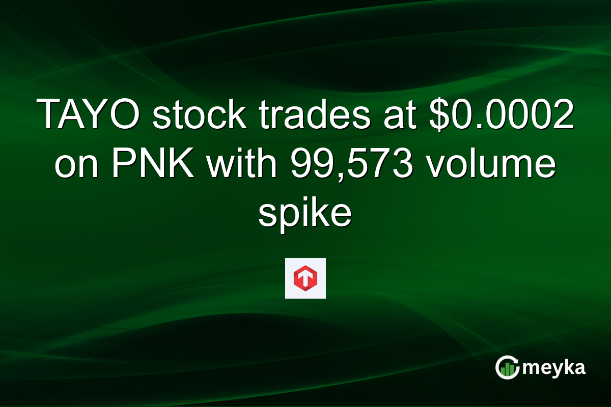 TAYO stock trades at $0.0002 on PNK with 99,573 volume spike