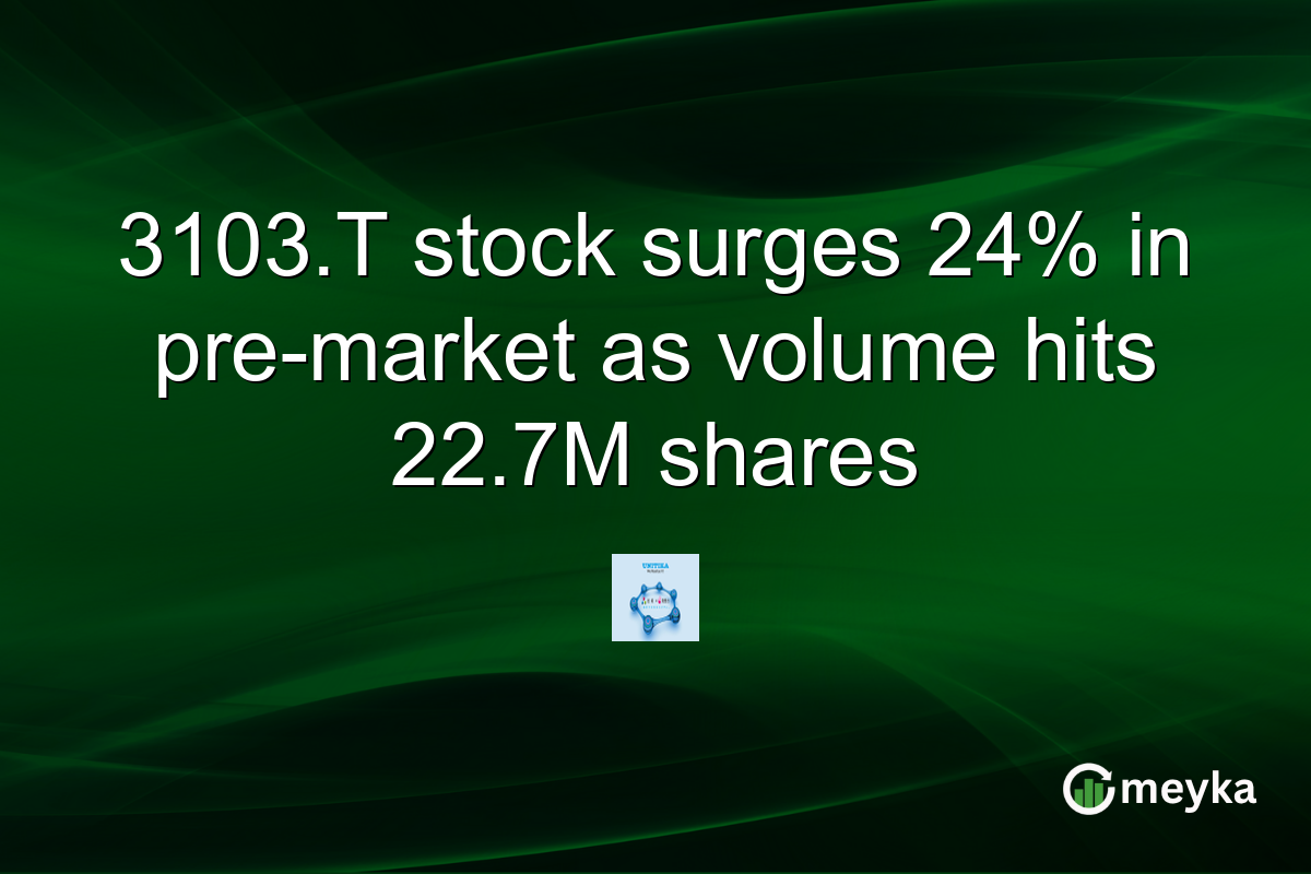 3103.T stock surges 24% in pre-market as volume hits 22.7M shares