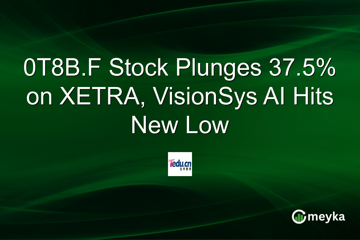 0T8B.F Stock Plunges 37.5% on XETRA, VisionSys AI Hits New Low