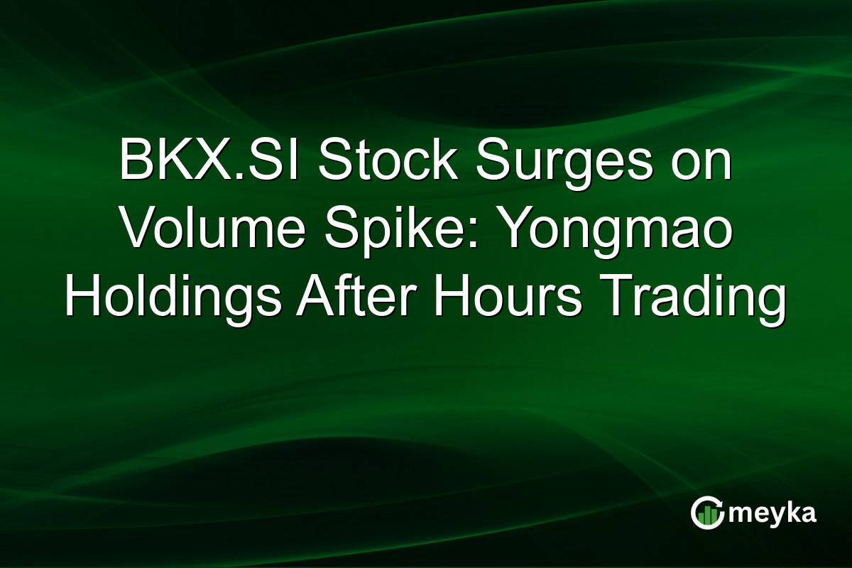 BKX.SI Stock Surges on Volume Spike: Yongmao Holdings After Hours Trading