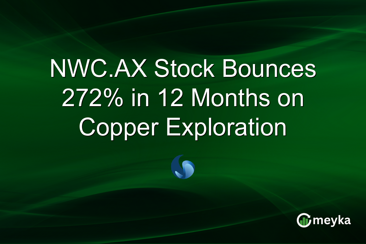 NWC.AX Stock Bounces 272% in 12 Months on Copper Exploration