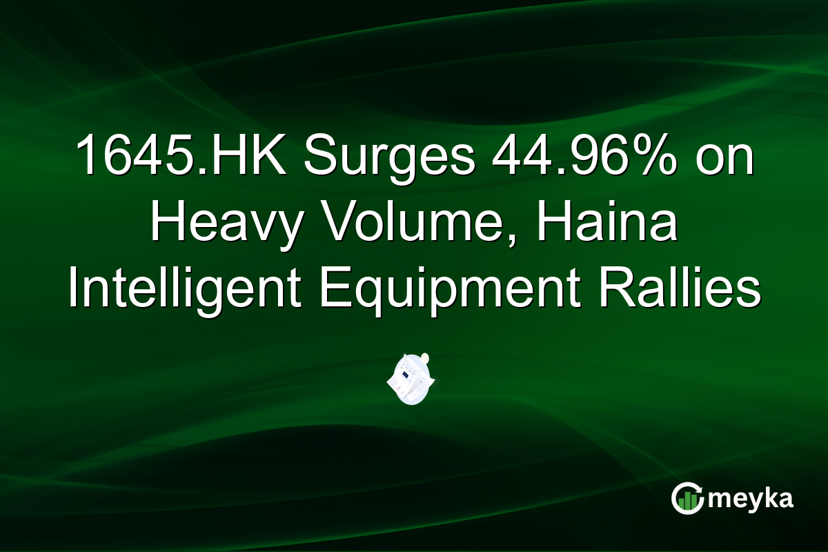1645.HK Surges 44.96% on Heavy Volume, Haina Intelligent Equipment Rallies