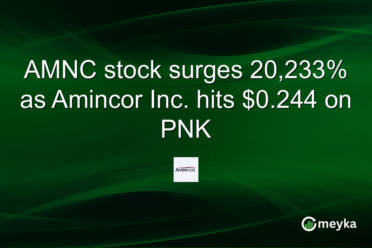 AMNC stock surges 20,233% as Amincor Inc. hits $0.244 on PNK