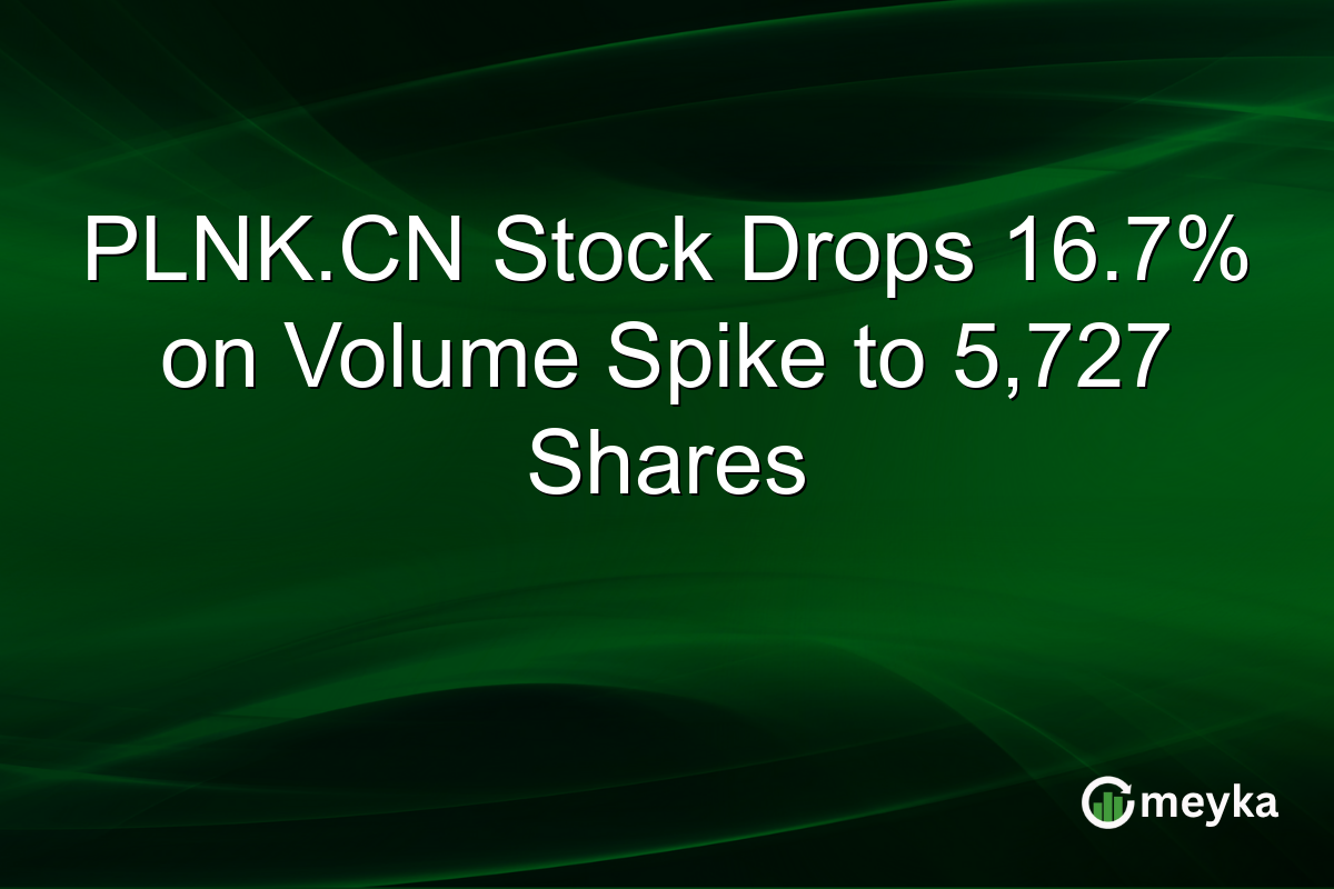 PLNK.CN Stock Drops 16.7% on Volume Spike to 5,727 Shares