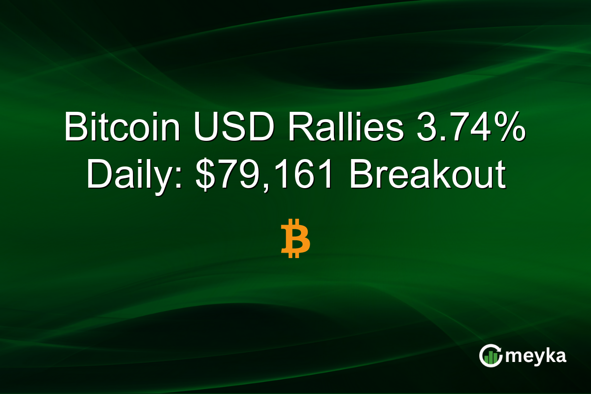 Bitcoin USD Rallies 3.74% Daily: $79,161 Breakout