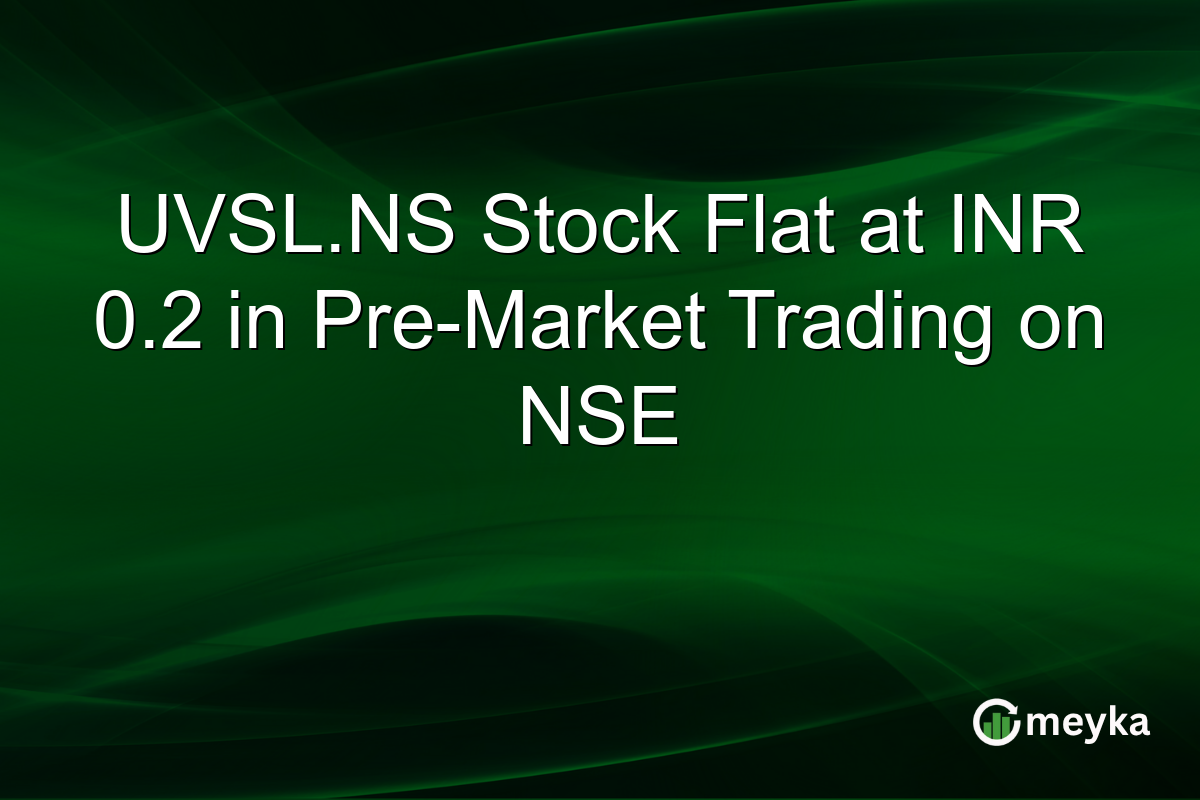 UVSL.NS Stock Flat at INR 0.2 in Pre-Market Trading on NSE