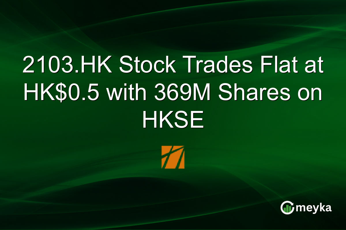2103.HK Stock Trades Flat at HK$0.5 with 369M Shares on HKSE