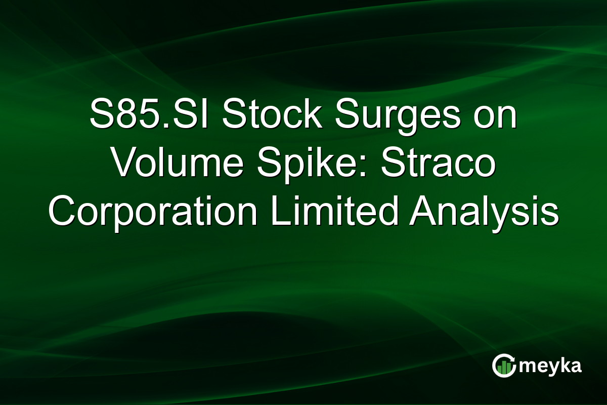S85.SI Stock Surges on Volume Spike: Straco Corporation Limited Analysis