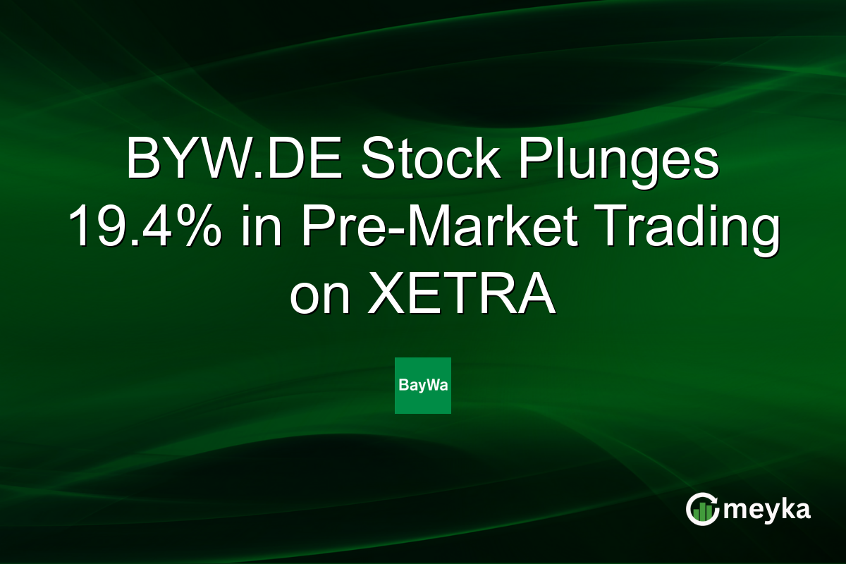 BYW.DE Stock Plunges 19.4% in Pre-Market Trading on XETRA