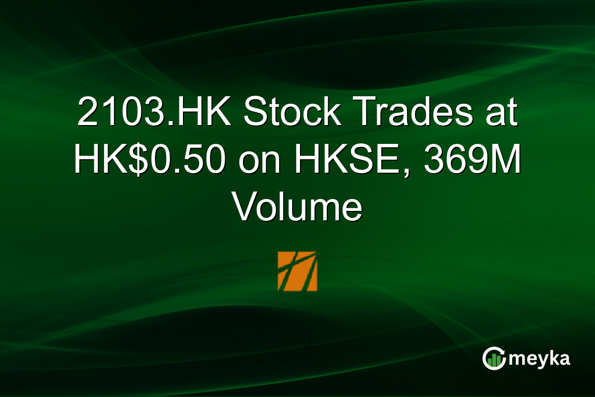 2103.HK Stock Trades at HK$0.50 on HKSE, 369M Volume