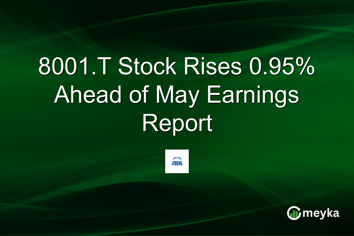 8001.T Stock Rises 0.95% Ahead of May Earnings Report