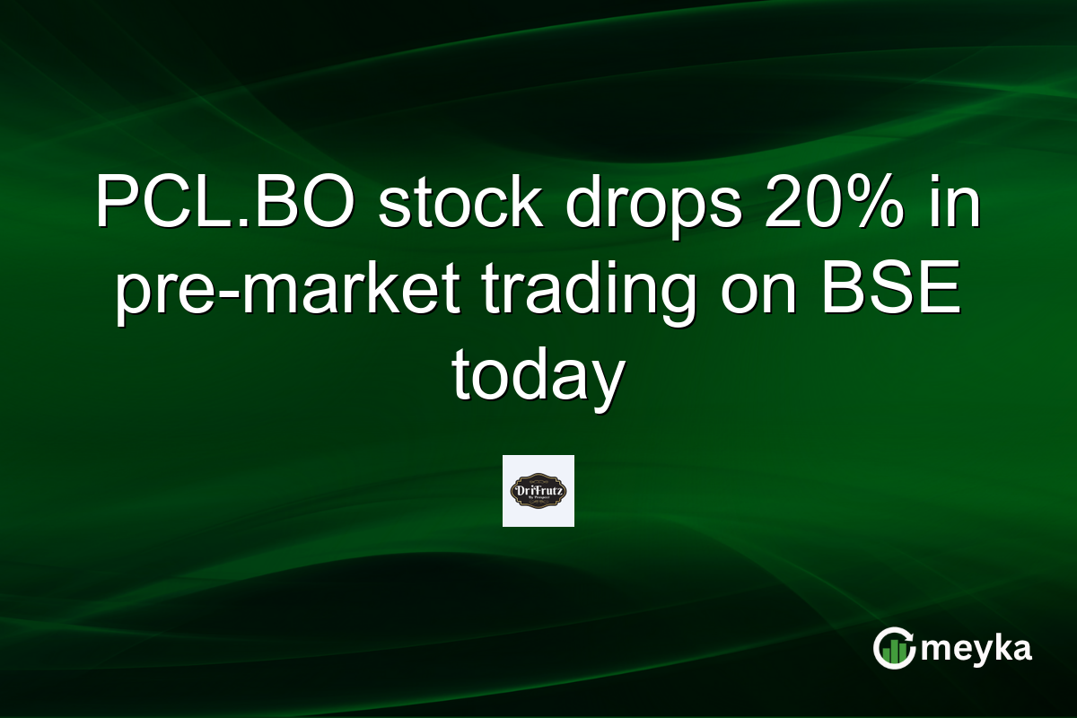 PCL.BO stock drops 20% in pre-market trading on BSE today