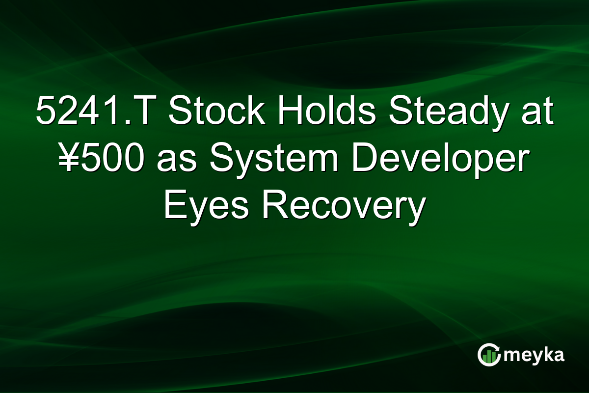 5241.T Stock Holds Steady at ¥500 as System Developer Eyes Recovery