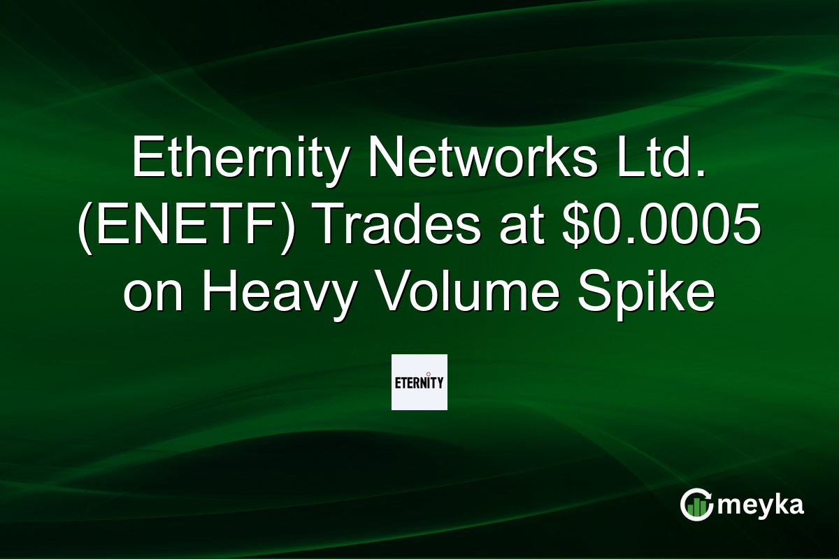Ethernity Networks Ltd. (ENETF) Trades at $0.0005 on Heavy Volume Spike