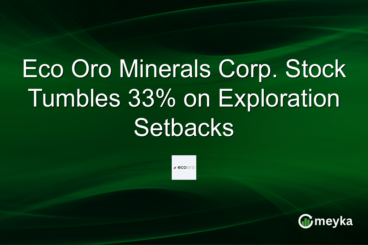 Eco Oro Minerals Corp. Stock Tumbles 33% on Exploration Setbacks