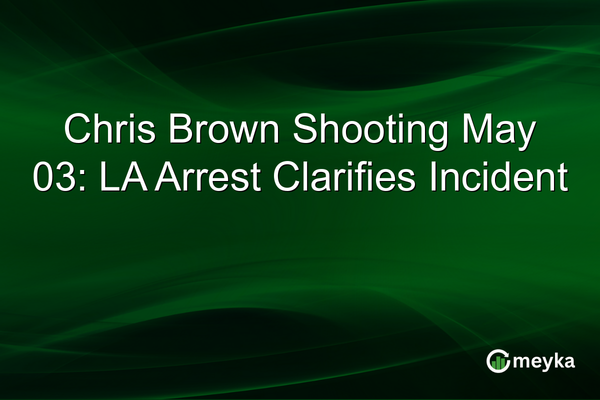 Chris Brown Shooting May 03: LA Arrest Clarifies Incident