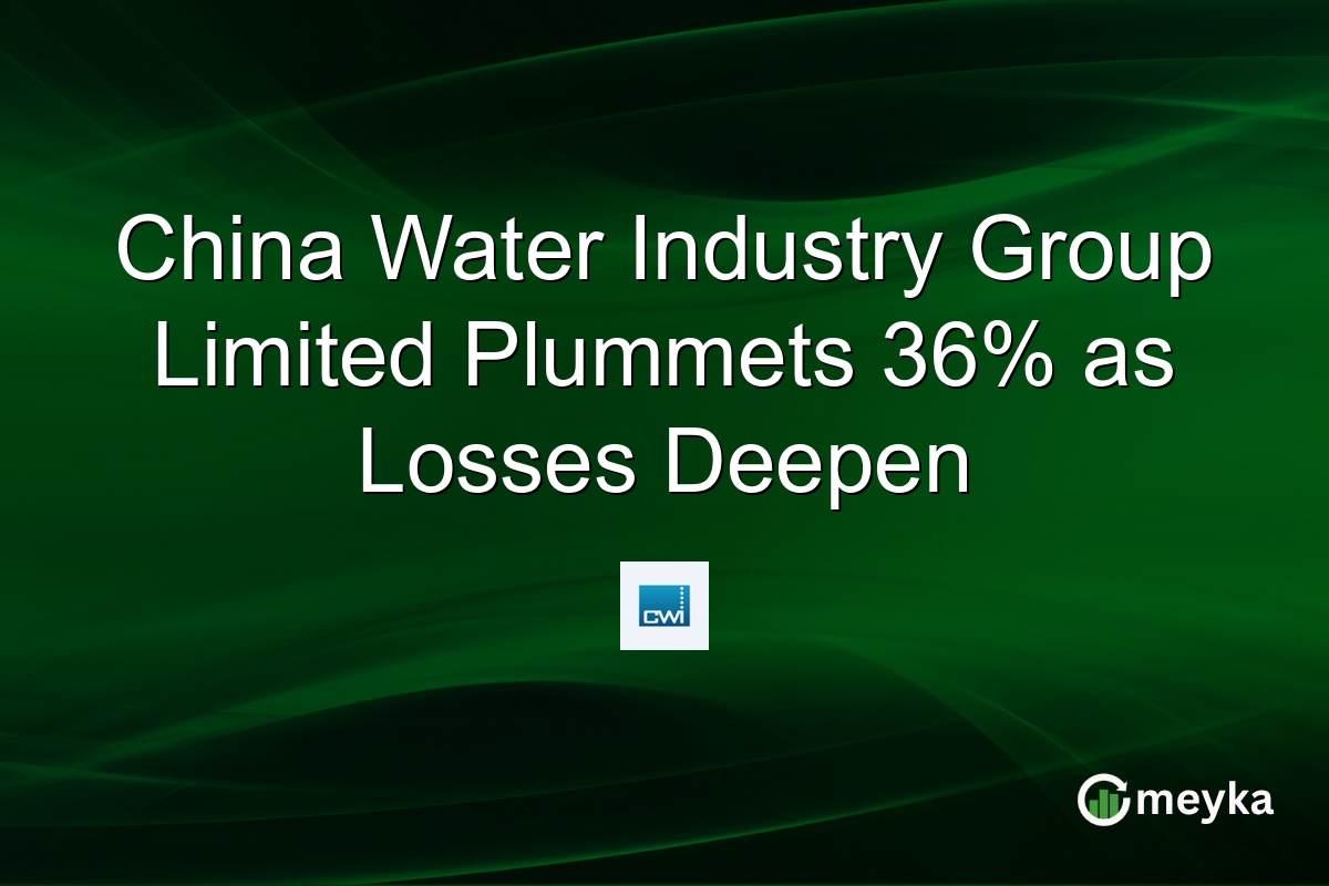 China Water Industry Group Limited Plummets 36% as Losses Deepen