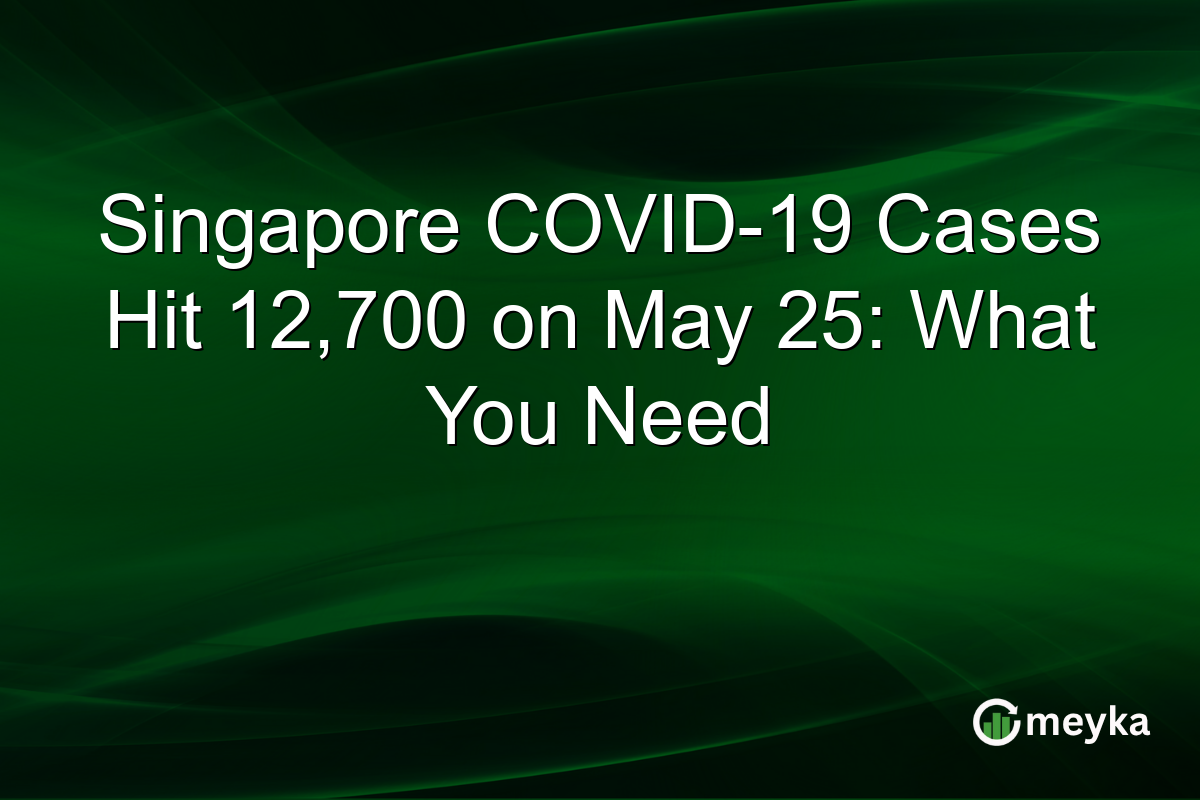 Singapore COVID-19 Cases Hit 12,700 on May 25: What You Need