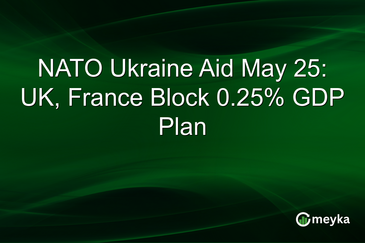 NATO Ukraine Aid May 25: UK, France Block 0.25% GDP Plan